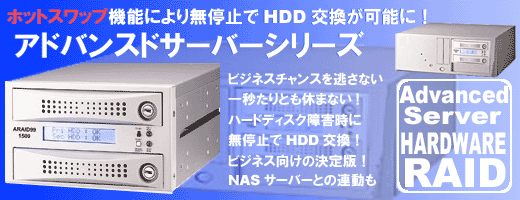アドバンスドサーバービジネスタイプ2